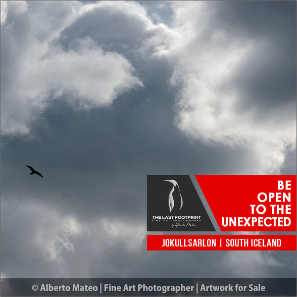 Be Open to the Unexpected. Seagull and clouds, Jokulsárlón, Iceland.