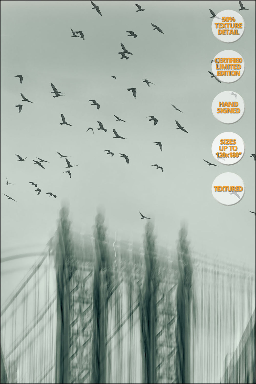 Manhattan Bridge, 'Way to Freedom' Series. | 50% Magnification Detail.