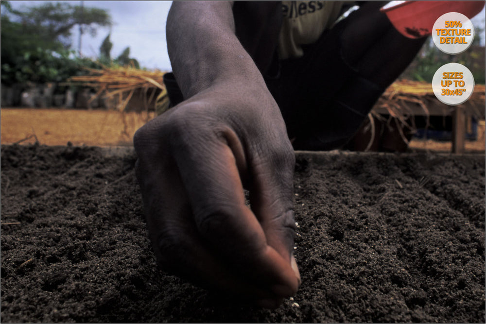 Man planting seeds, Mangochi, Malawi. | 50% Magnification Detail.