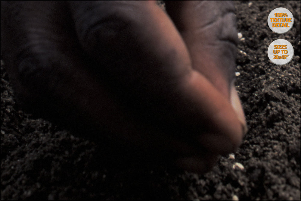 Man planting seeds, Mangochi, Malawi. | 100% Detail.