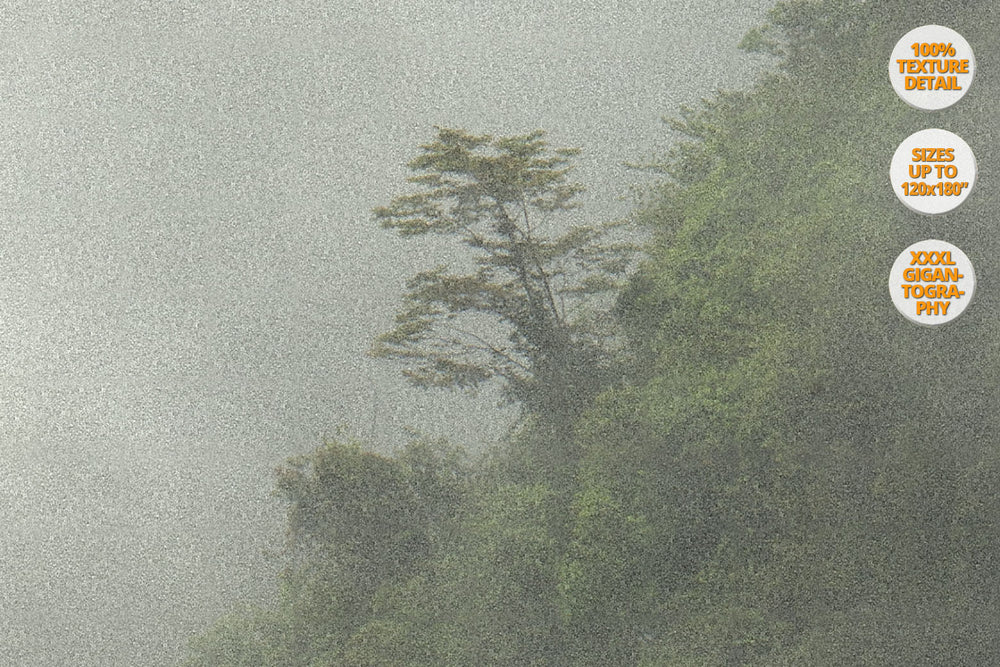 Fog in Bac Ha Mountains, Vietnam. | Detail view at 100% magnification.