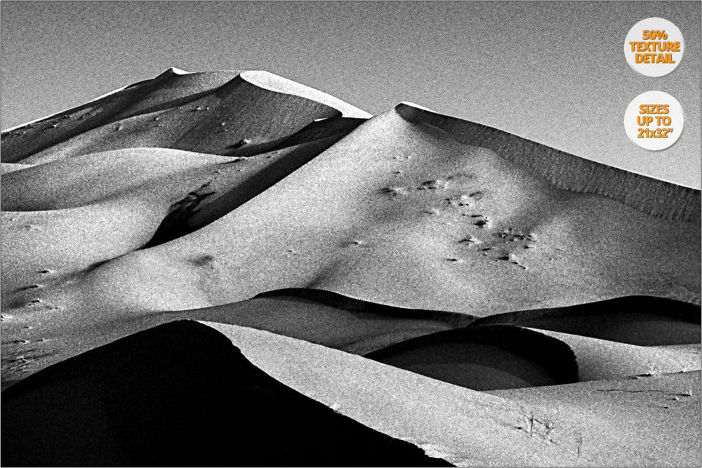 Dunes at sunrise in the Sahara Desert, Morocco. | 50% Detail.