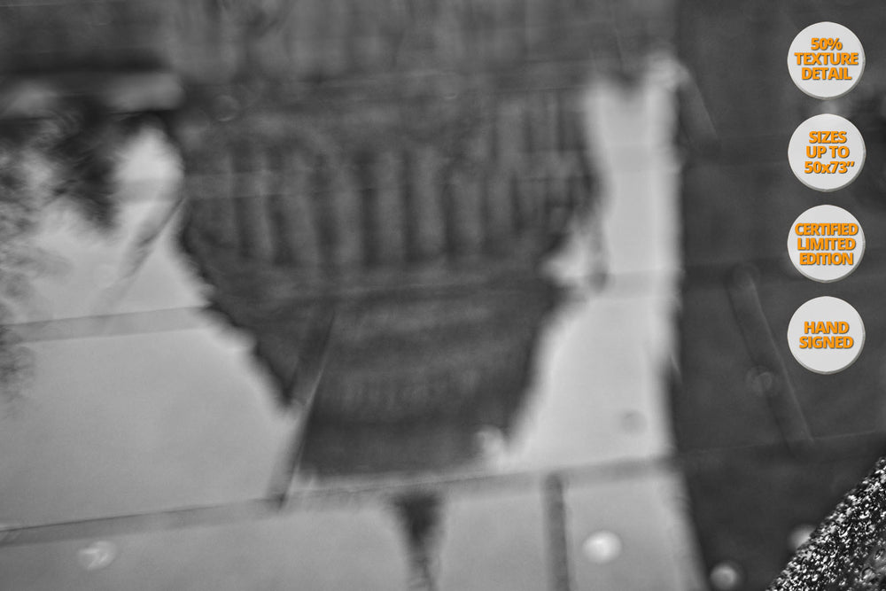 Saint Paul, London, UK. | View of the Print at 50% magnification texcture detail.
