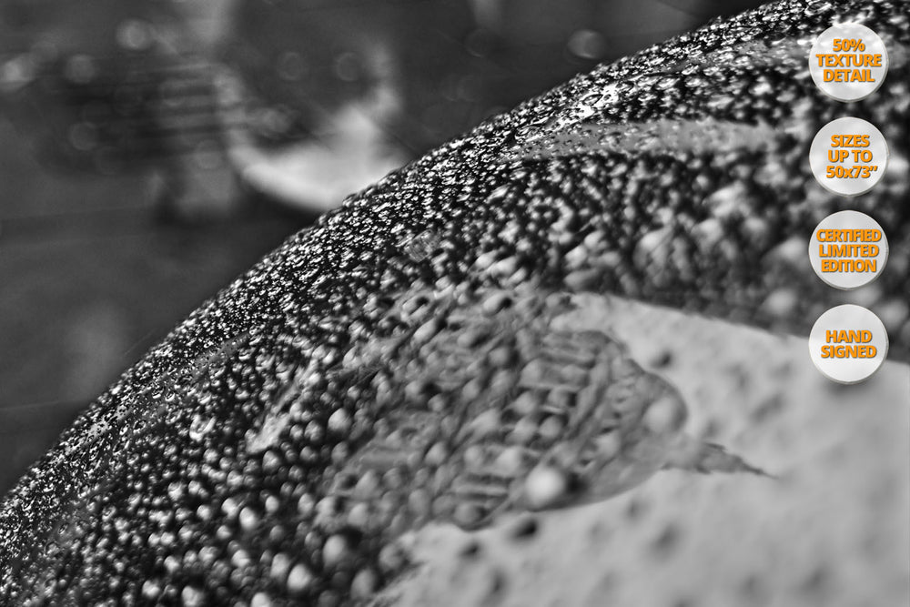 Reflections, Saint Paul, London, UK. | 100% magnification texcture detail.