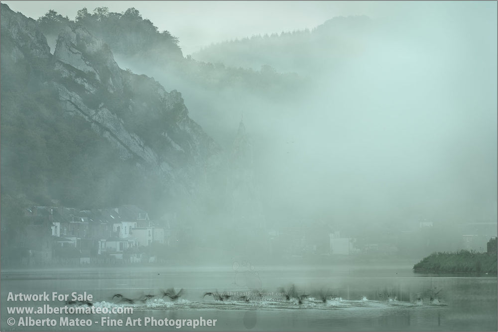 Flock of ducks, river Meuse, Dinant. | Open Edition Print.