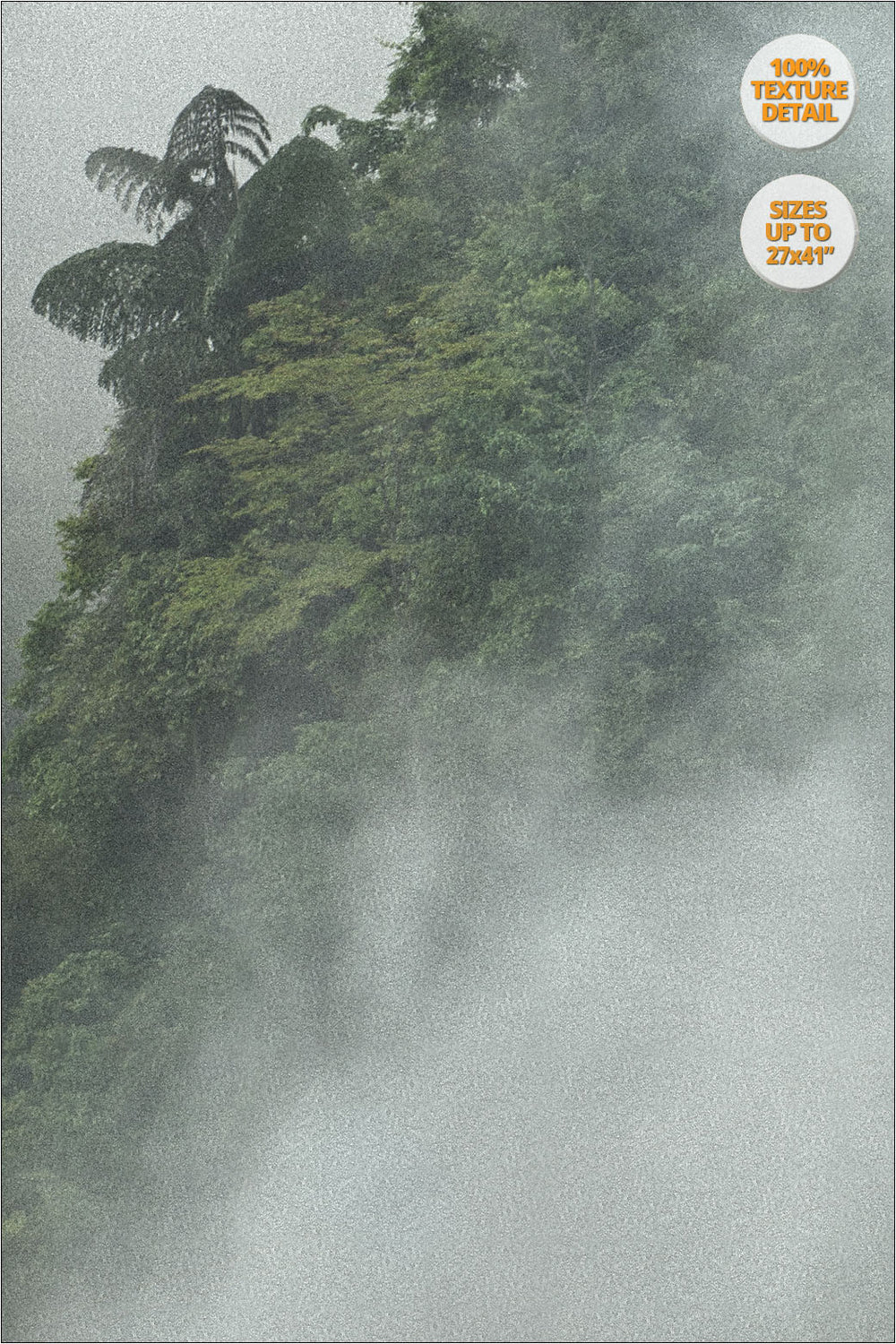 Tree in the fog, Bac Ha, Vietnam. | 100% Print Detail.