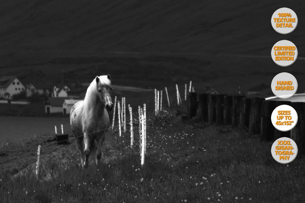 The White Horse, Faroe Islands, North Atlantic. | 100% Magnification Detail.