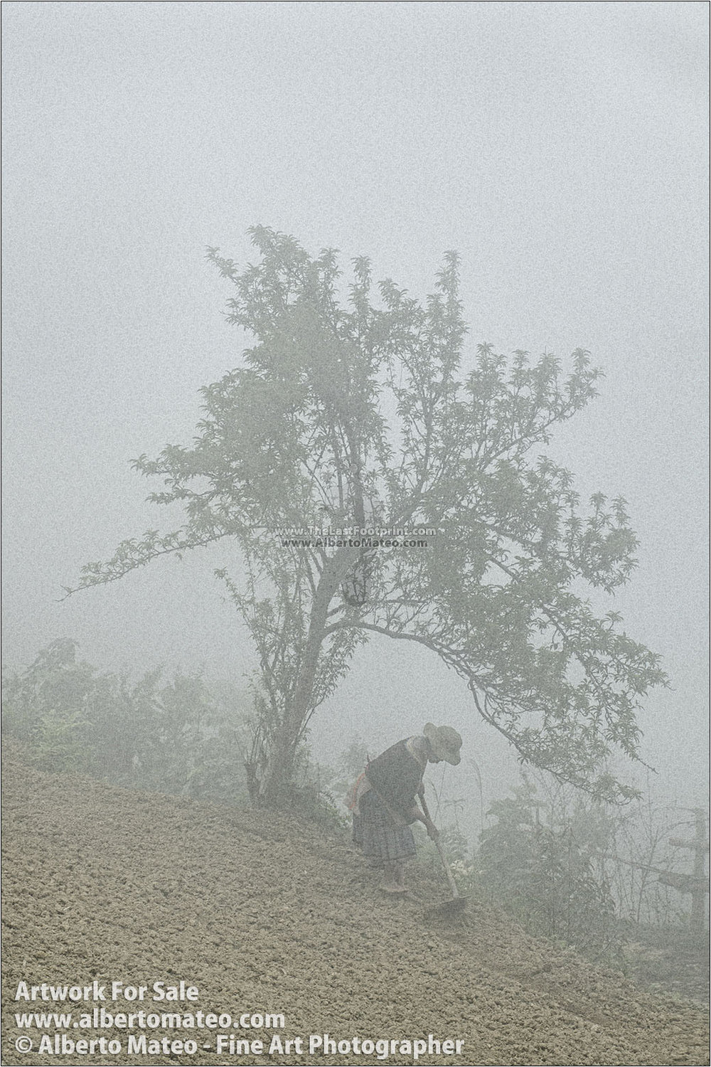 Hmong woman sowing in the fog, Bac Ha, Vietnam. | Open Edition Print.