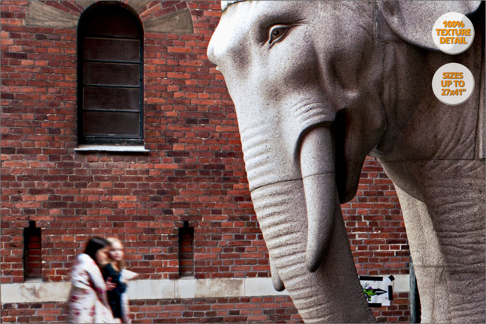Elephant Gate, Copenhague, Denmark. | 100% Magnification Detail.