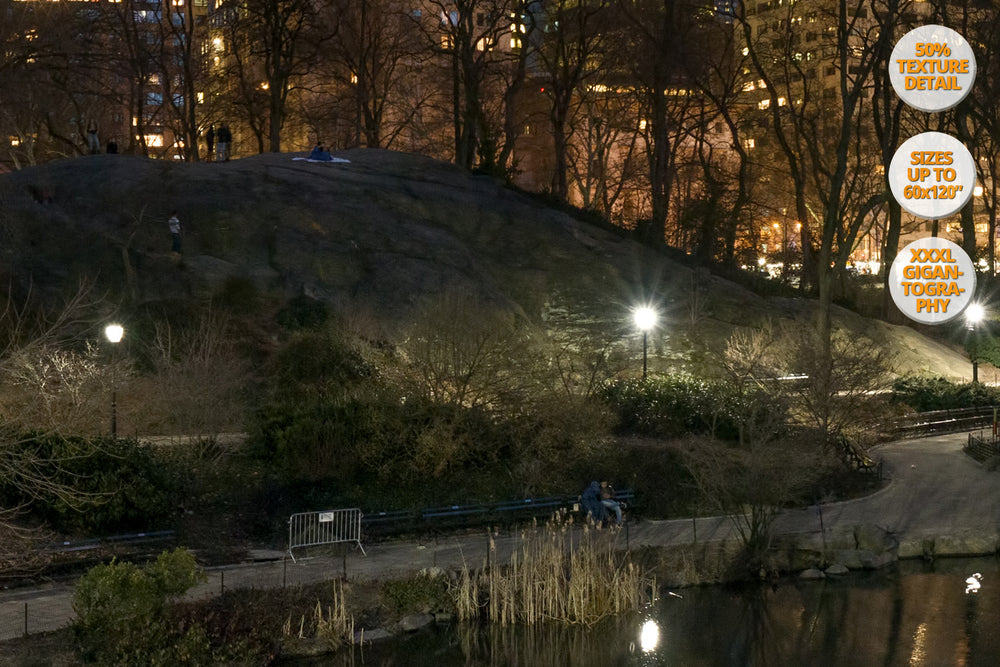 The Pond at dusk, Central Park at dusk, New York City, USA. | 100% Magnification Detail.