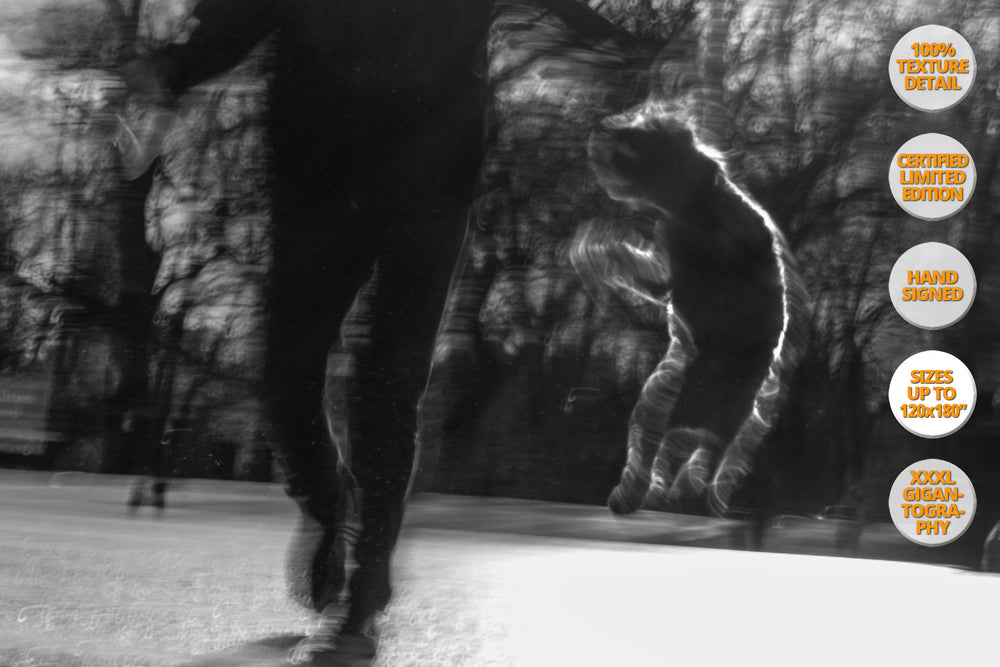 Jumping Dog, Central Park Avenue, New York. | 50% Detail.