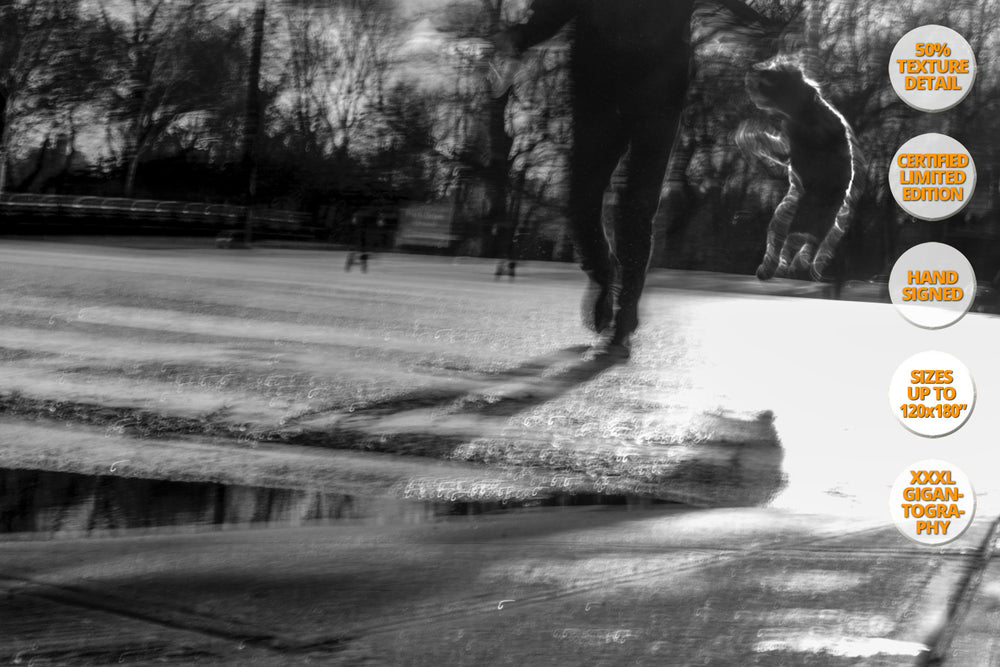 Jumping Dog, Central Park Avenue, New York. | Detail View.