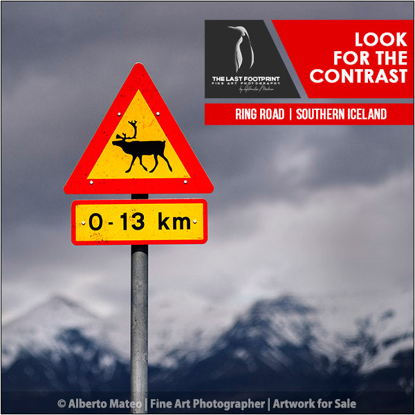 Wildlife Warning Plate and Mountains - Iceland