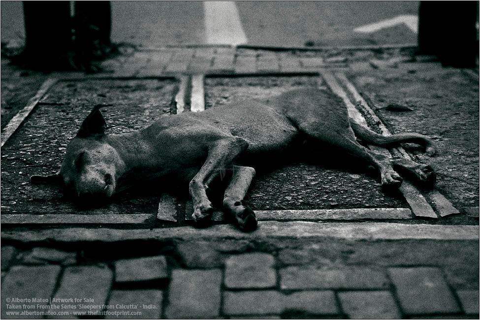 Sleepers from Kolkata - 4/20, Calcutta, India.