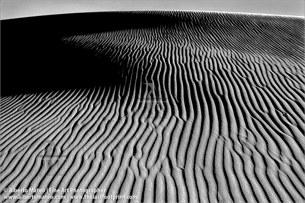 Dune Detail, Sahara, Abstract Landscape Series.