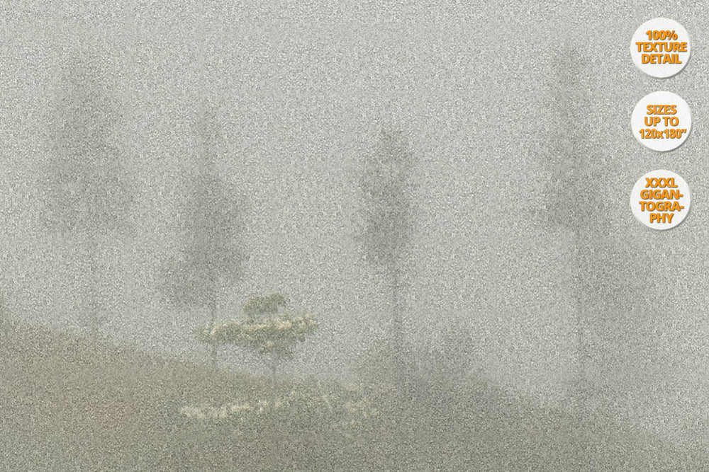 Fog in Bac Ha Mountains, Vietnam. | View at 100% magnification detail.