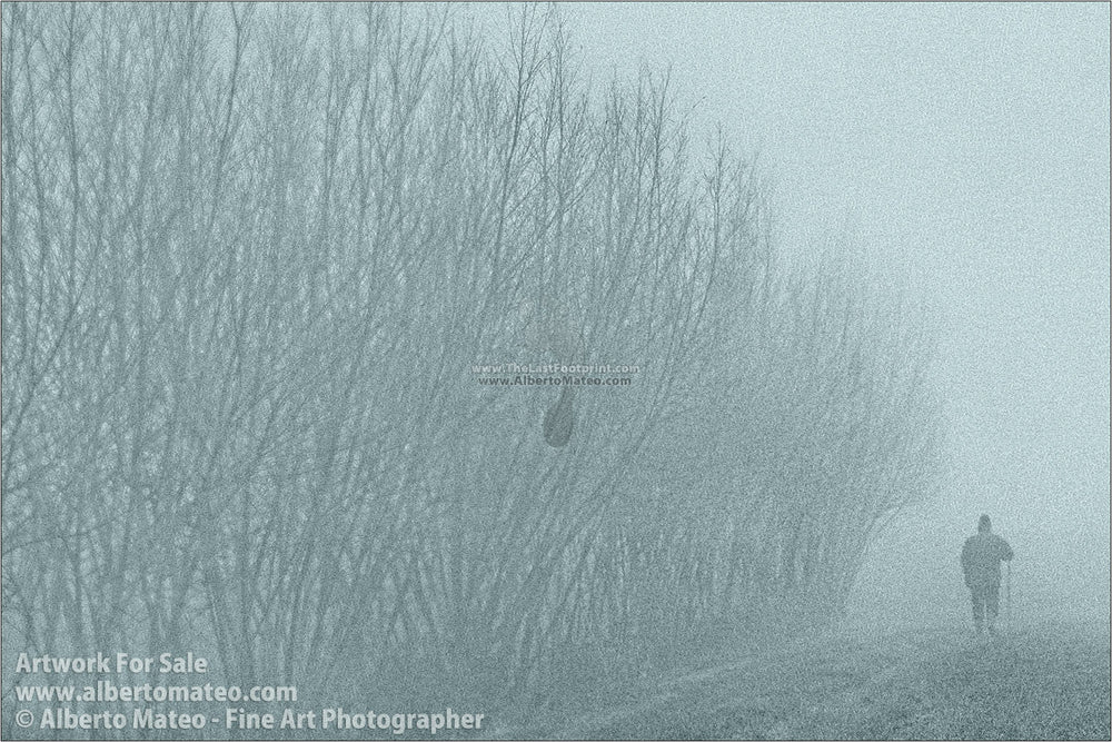 Fog in crop fields, Brugine, Italy. | Open Edition Print.