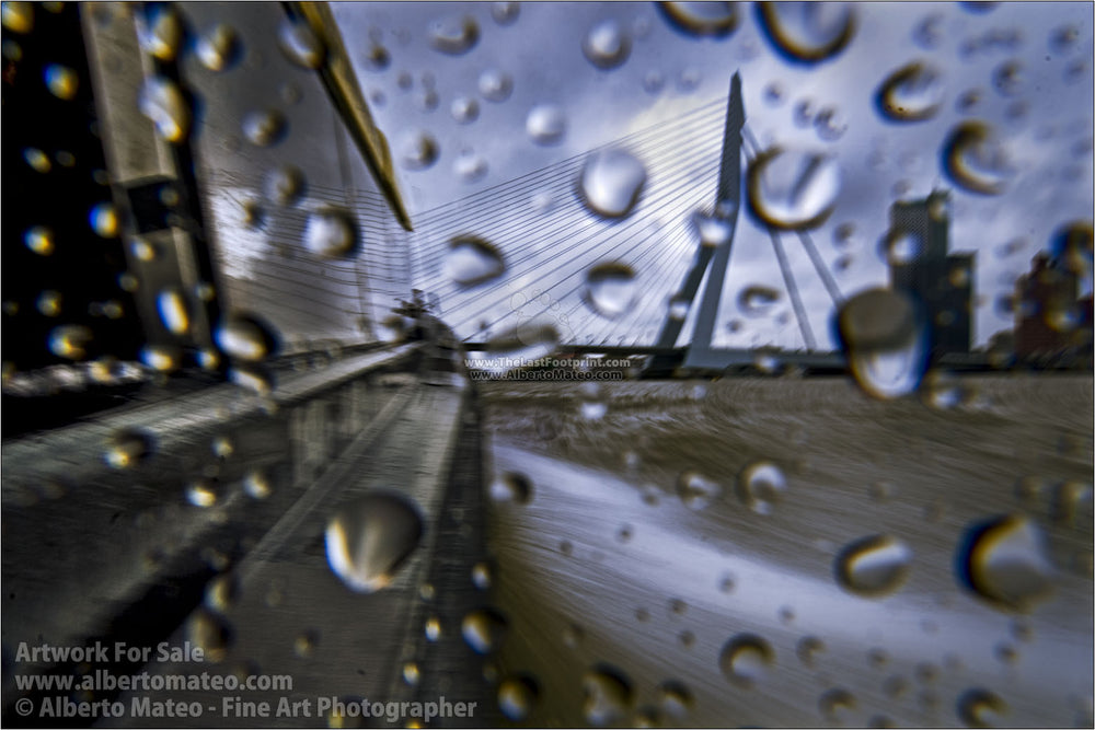 View of Erasmus Bridge, Rotterdam, The Netherlands. | Open Edition Fine Art Print.