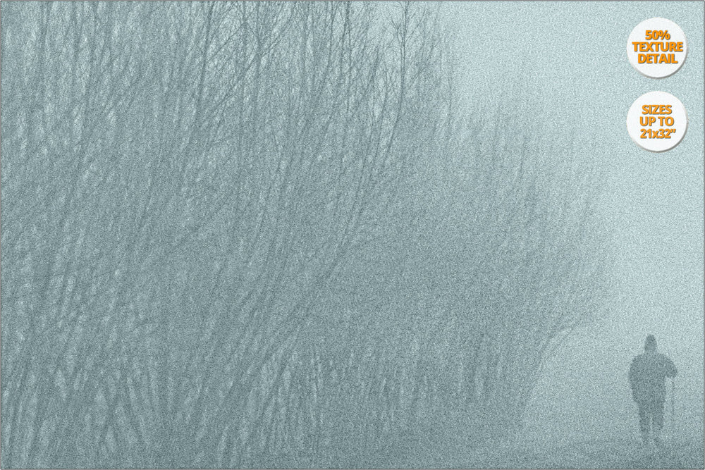Fog in crop fields, Brugine, Italy. | 50% Detail.