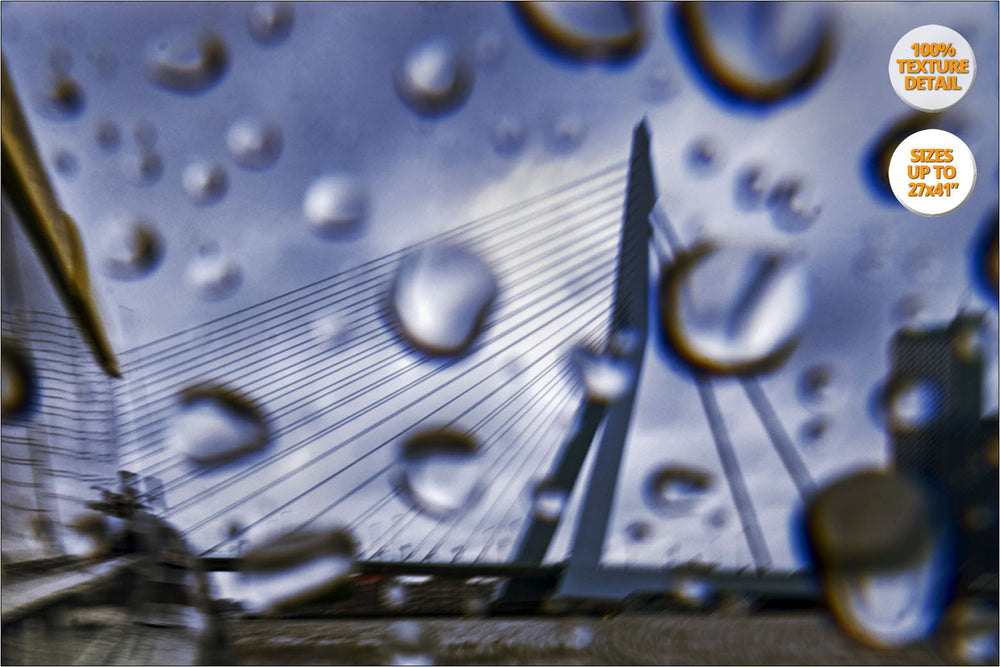 View of Erasmus Bridge, Rotterdam, The Netherlands. | 100% Magnification Texture Detail.
