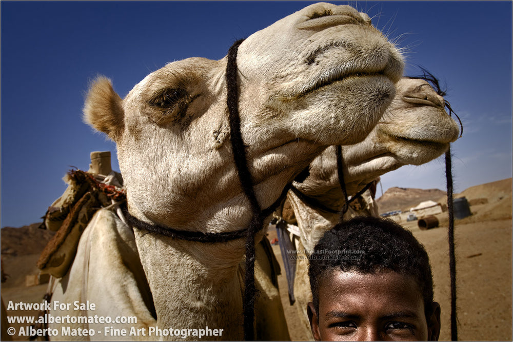 Bedouin boy keeping camels, Marsa Alam, Egypt. | By Alberto Mateo.