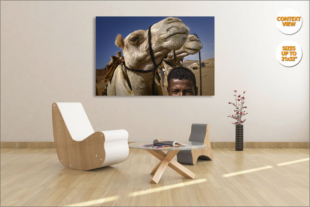 Bedouin boy with camels, Egypt. | Living room view. 