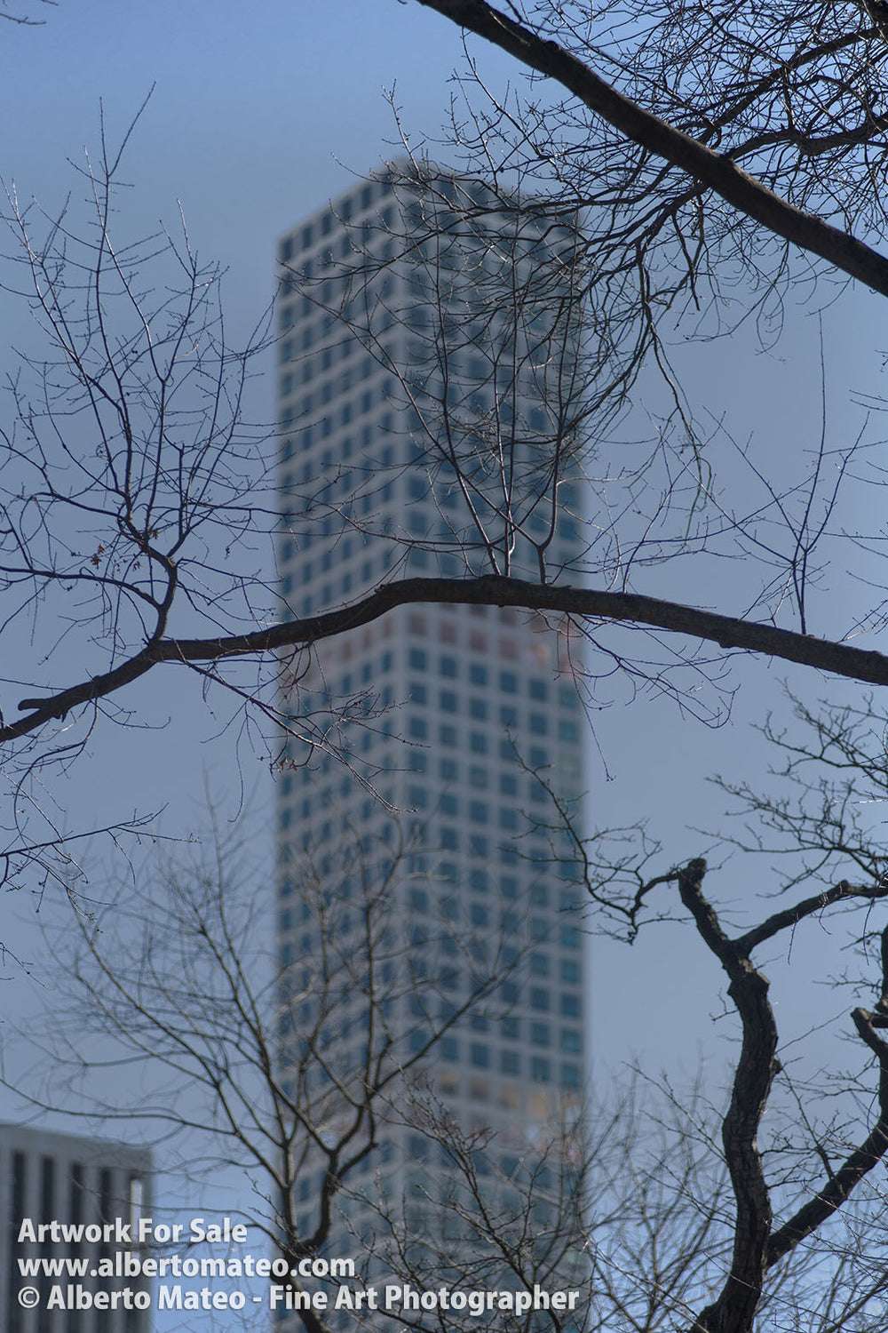 The Hive, Manhattan, New York. | Open Edition Fine Art Print.