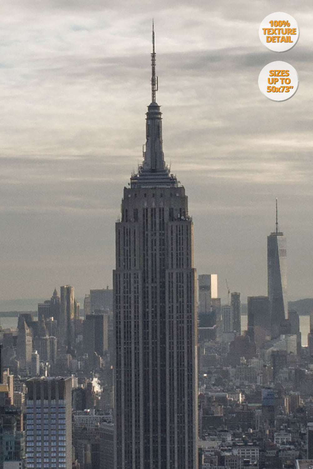 The Empire State Building before sunset, Midtown Manhattan, US. | Giant Print Detail at 100% magnification.