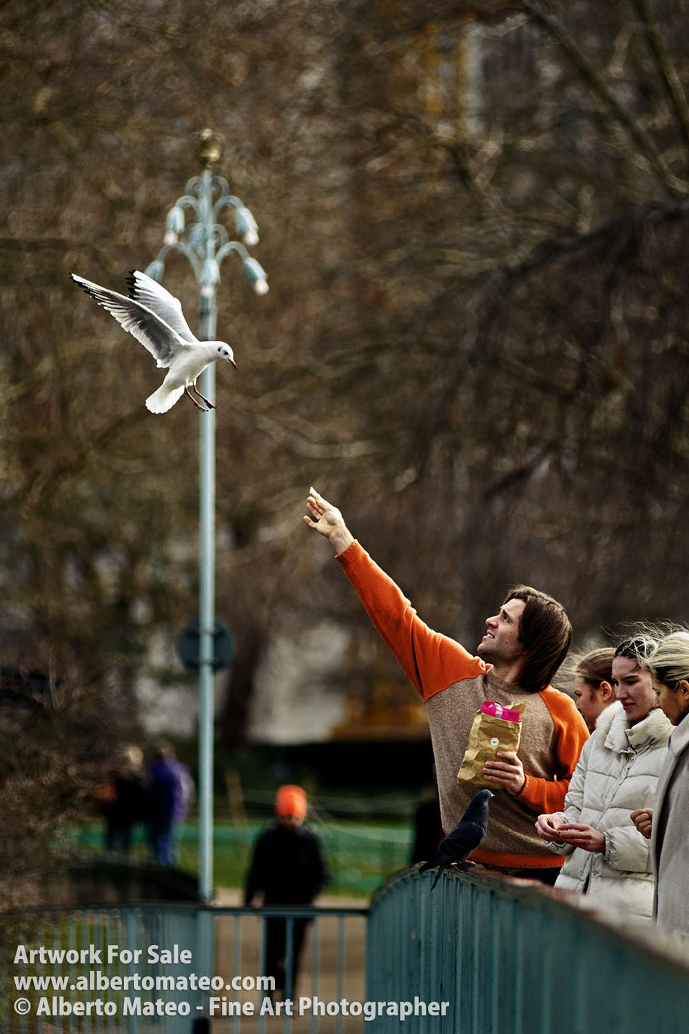 Tourists feeding birds, Saint James Park, London. | Open Edition Print.