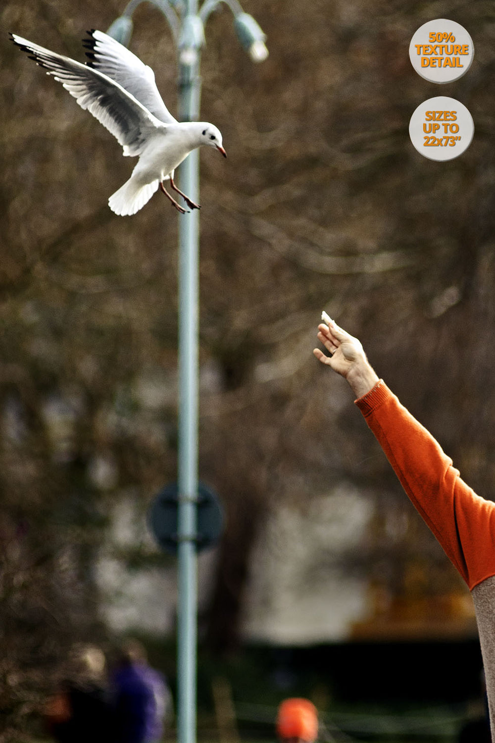 Tourists feeding birds, Saint James Park, London. | 50% Magnification Detail.