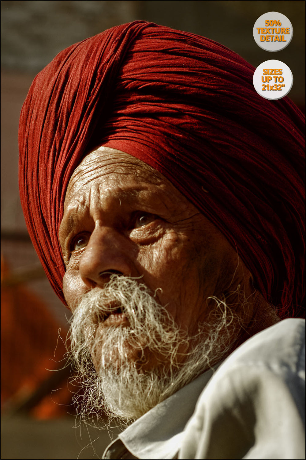 Portrait of a Sikh, Chandigarh, India. | 50% Magnification Detail View.