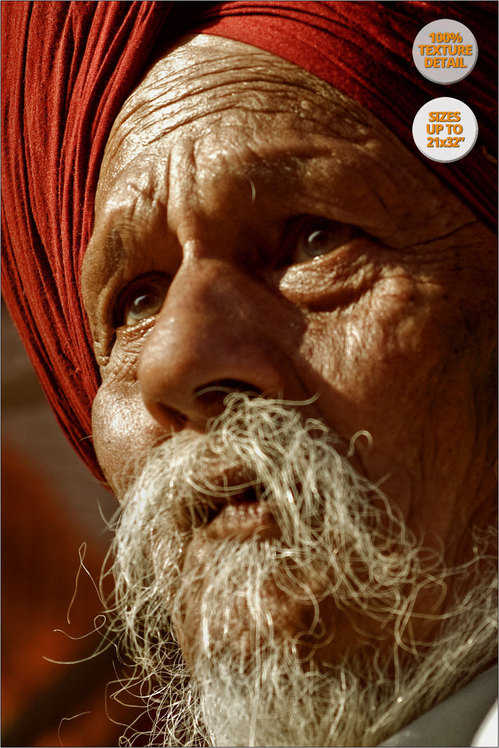 Portrait of a Sikh, Chandigarh, India. | 100% Magnification Texture Detail.