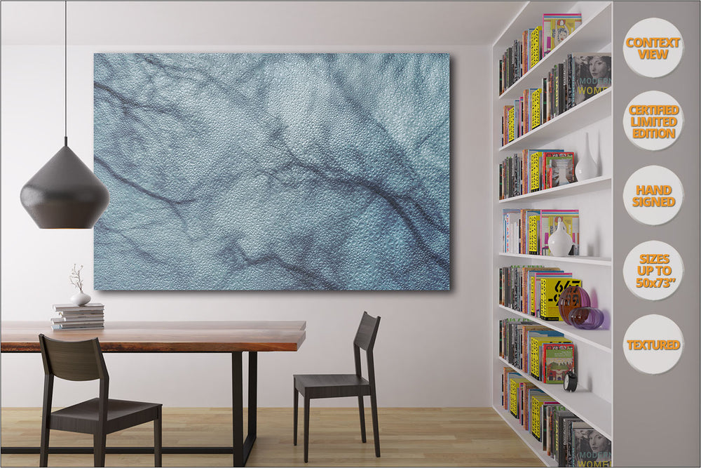 Tree branches in Winter, Central Park, NYC. | View of the Print hanged in reading room.