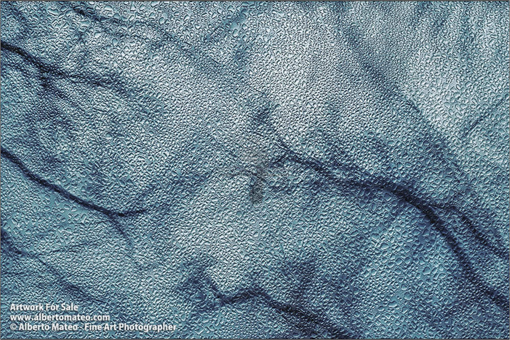 Tree branches in Winter, Central Park, New York. | Limited Edition Print.