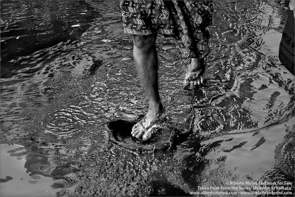 Monsoon pond detail, Kolkata, Bengal, India.