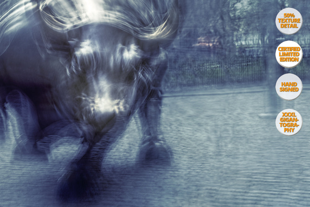 The Bull in Wall Street, Manhattan. | 50% Magnification Detail.