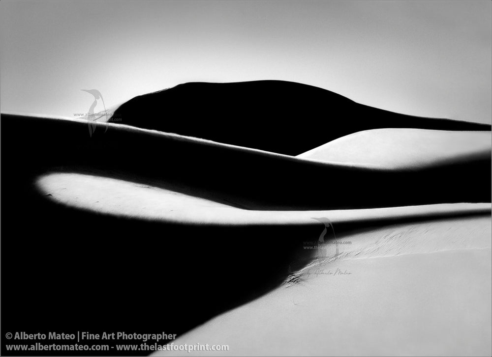 Dune Shapes Detail, Sahara, Abstract Landscape Series.
