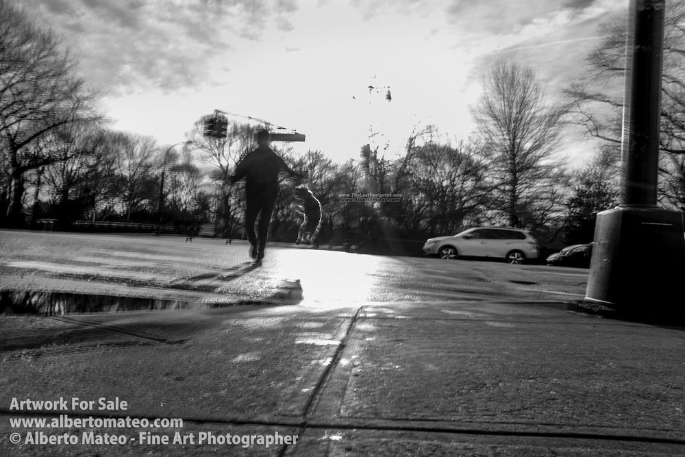 Jumping Dog, Central Park Avenue, New York.