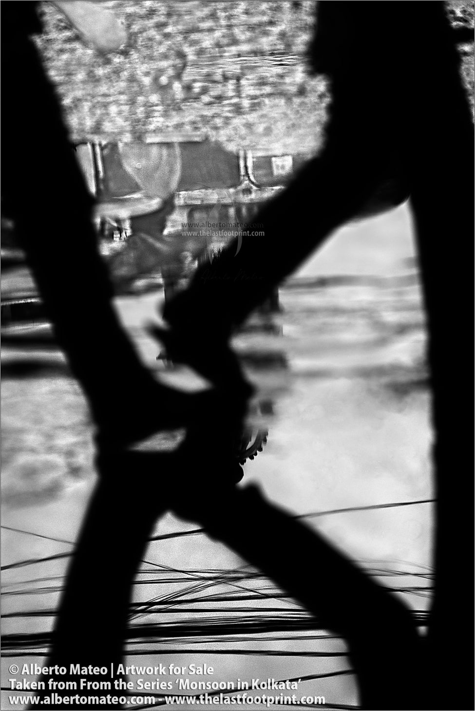 Monsoon Ponds, Kolkata, Bengal, India.