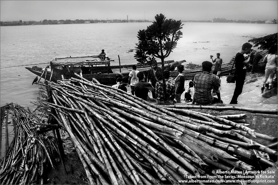 Bamboo wood, Hooghly River Kolkata, Bengal, India.