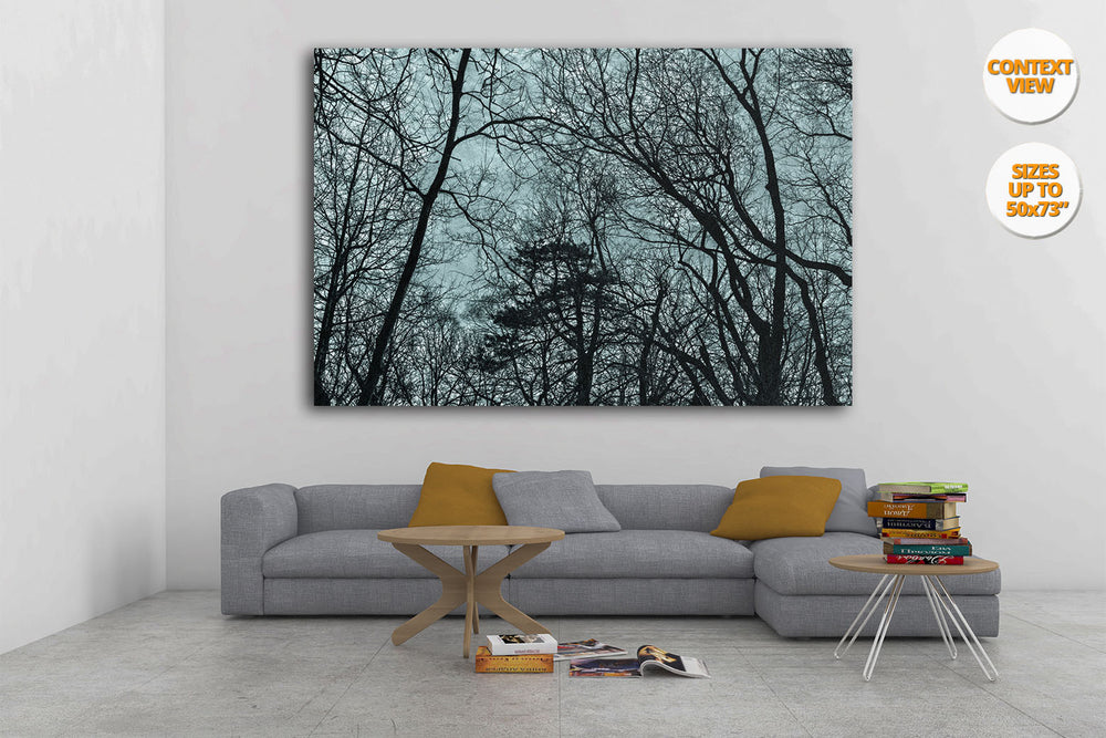 Tree shilouettes, Central Park, Manhattan, New York. | Print hanged in living room.