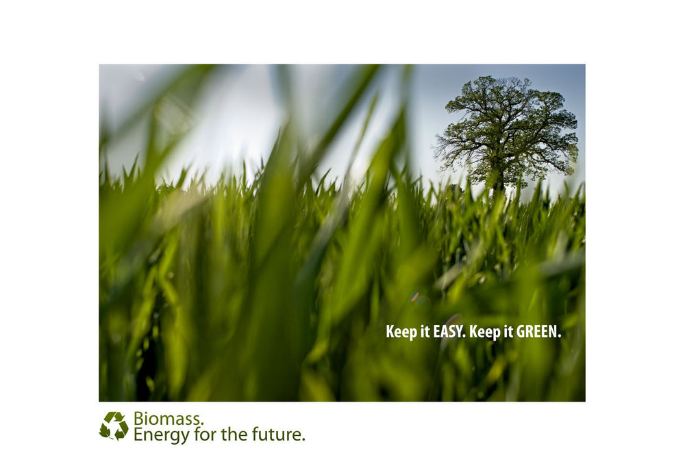 Ecology Advertising Campaign, by Alberto Mateo.