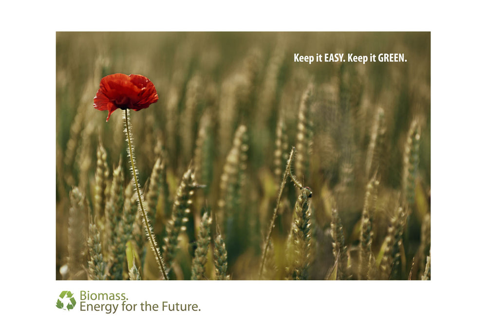 Aero Island Poppy Flower, Advertising Campaign, by Alberto Mateo.