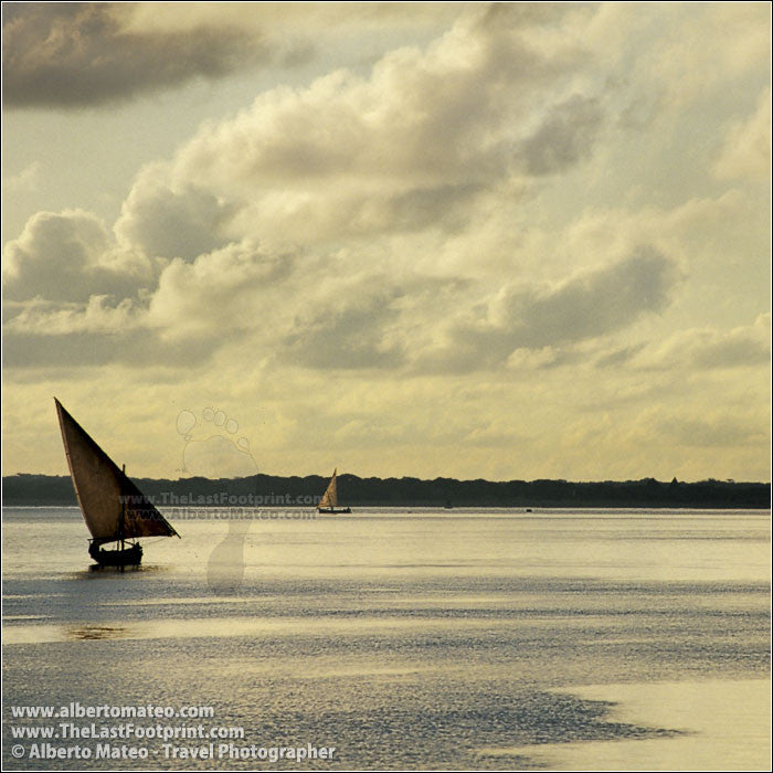 Dhows at sunrise, Lamu Island, Kenya. | Square format.