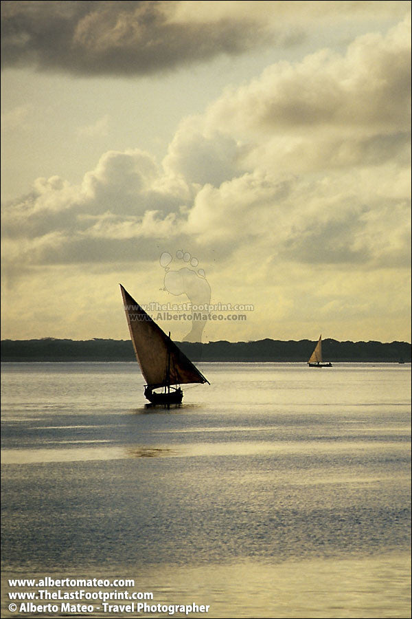 Dhows at sunrise, Lamu Island, Kenya.