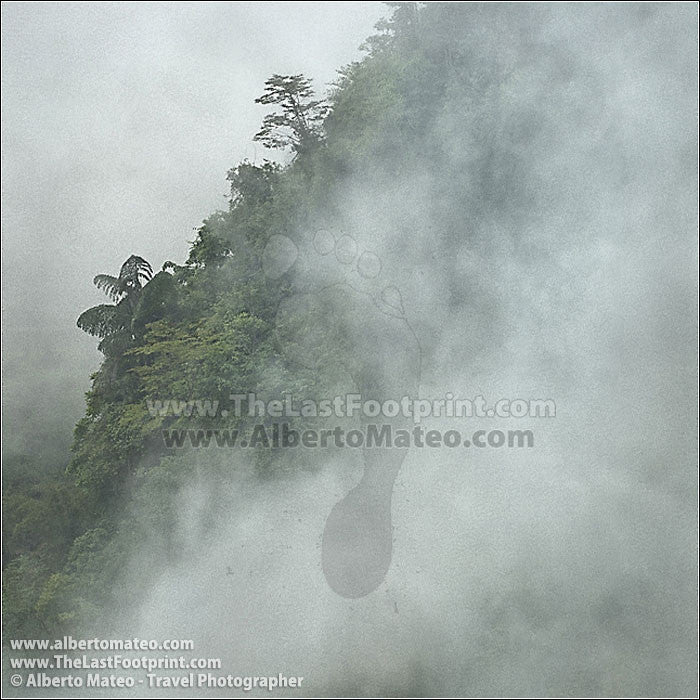 Fog in Bac Ha Mountains, Vietnam. | Cropped for Facebook.