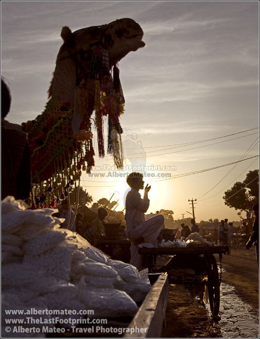 Pushkar Camel Fair, Pushkar, Rajastan, India. | Fine Art Print.