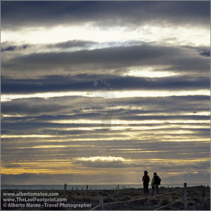 Sunset in Pinguinera, Tierra de Fuego, Patagonia. | Square crop.