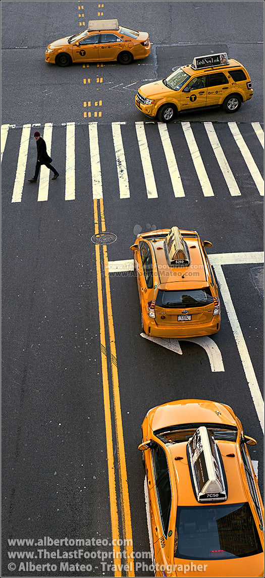 Zebra Crossing, Manhattan, New York.