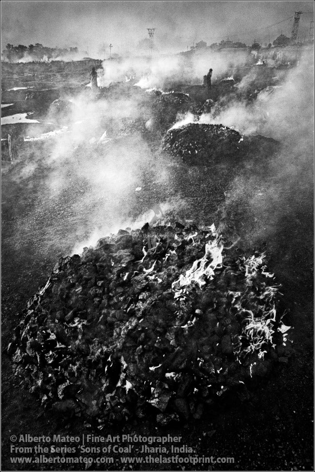 Coal Fields, Sons of Coal Series.